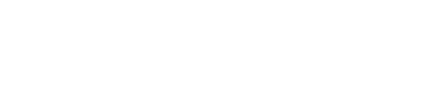 Syncsis — Retail Program Intelligence